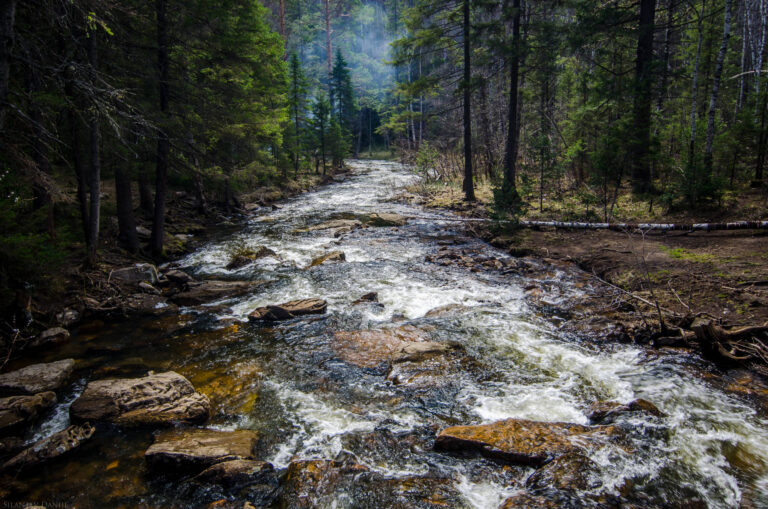 The Benefits of Water Purification