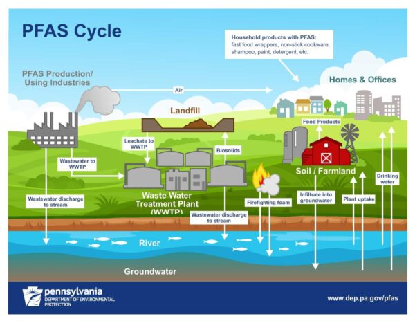 The PFAS cycle and its exposure pathways