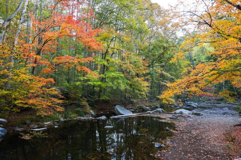 Delaware County PA